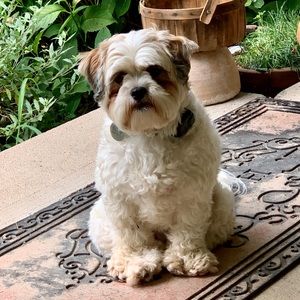 Meet your Posher, Donna